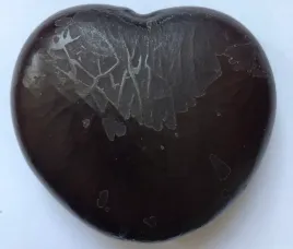 entada-gigas-malpia-drabina-entada-gigas-1-nasiona