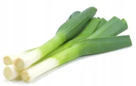 por-blauwgroene-winter-alaska-pozny-dobrze-zimuje-nasiona-1-g