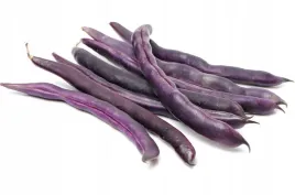 fasola-szparagowa-karlowa-purple-teepee-90-nas