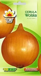 cebula-wolska-allium-cepa-l-pozna-1300-nasion