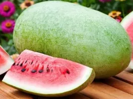 arbuz-charleston-gray-citrullus-lanatus-10nasion