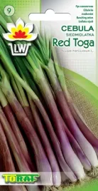 cebula-siedmiolatka-red-toga-allium-fistulosum-l