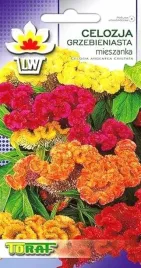 celozja-grzebieniasta-celosia-argentea-mix-kolorow-nasiona-05-g