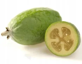 akka-sellowa-pineapple-guava-acca-feijoa-5-nasion