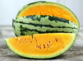 arbuz-orangeglo-pomaranczowy-citrullus-lanatus