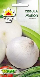 cebula-biala-avalon-allium-cepa-l-pozna-3-g