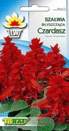 szalwia-blyszczaca-czardasz-czerwona-03-grama-nas