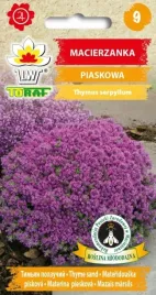 macierzanka-piaskowa-purpurowa-thymus-serpyllus-500-nasion