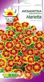 aksamitka-rozpierzchla-marietta-niska-1gram-nasion