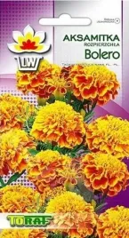 aksamitka-rozpierzchla-bolero-niska-1-gram-nasion