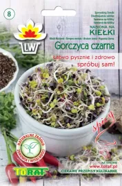 nasiona-na-kielki-gorczyca-czarna-smaczny-zrodlo-wielu-witamin-nasiona