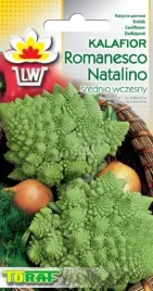 kalafior-romanesco-natalino-piramidki-1-gr-nasion