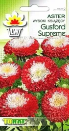 aster-wysoki-pomponowy-gusford-supreme-1-gr-nasion