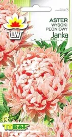 aster-peoniowy-wysoki-janka-jasnorozowy-1-gr-nasio