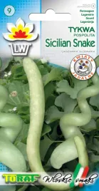 tykwa-pospolita-sicilian-snake-10-nasion