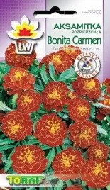 aksamitka-rozpierzchla-bonita-carmen-1-gram-nasion