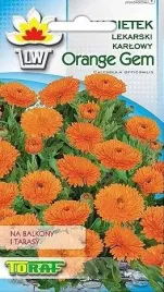 nagietek-karlowy-orange-gem-05-gr-nasion