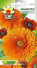 nagietek-pomaranczowy-calendula-1-gr-nasion