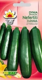 cukinia-nefertiti-nefretete-dynia-20-nasion