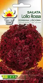 salata-lisciowa-lollo-rossa-czerwona-1-gram