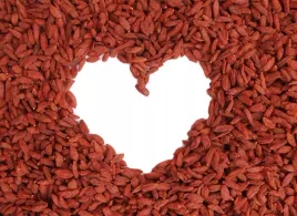 witalne-jadoda-goji-kolcowoj-chinski-50-nasiona