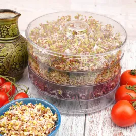 kielkownica-3-poziomowa-naczynie-do-uprawy-kielkow-w-domu-do-kuchni