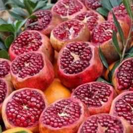 granatowiec-wlasciwy-granat-prosto-z-drzewa-punica-granatum-20-nasion