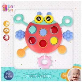 zabawka-sensoryczna-biedronka-bam-bam-541611