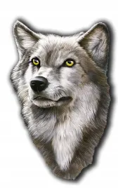 naklejka-glowa-wilka-23x16cm