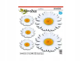 naklejka-flower-kwiaty-garden-rumianki-avisa