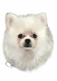 naklejka-hobby-pies-szpic-1-25110