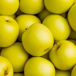 jablon-papierowka-oliwka-zolta-bardzo-wczesna-papierowka-z-dziecinstwa