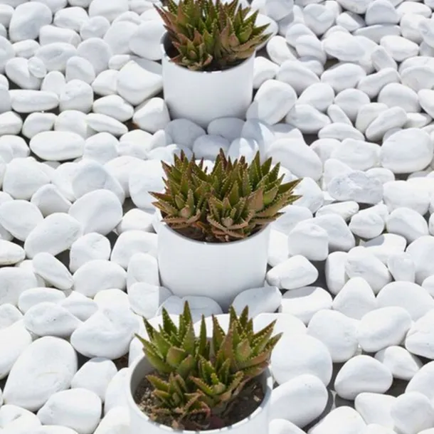 kamien-otoczak-thassos-3-6cm-kamien-ogrodowy-bialy-dekoracyjny-ozdobny-stan-opakowania-oryginalne