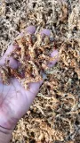 mech-sphagnum-mech-torfowiec-3l-stan-nowy