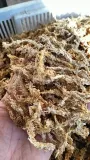 mech-sphagnum-mech-torfowiec-3l-kod-producenta-565132