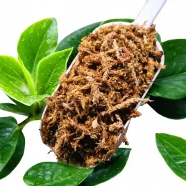 mech-torfowiec-sphagnum-5l-podloze-do-ukorzeniania