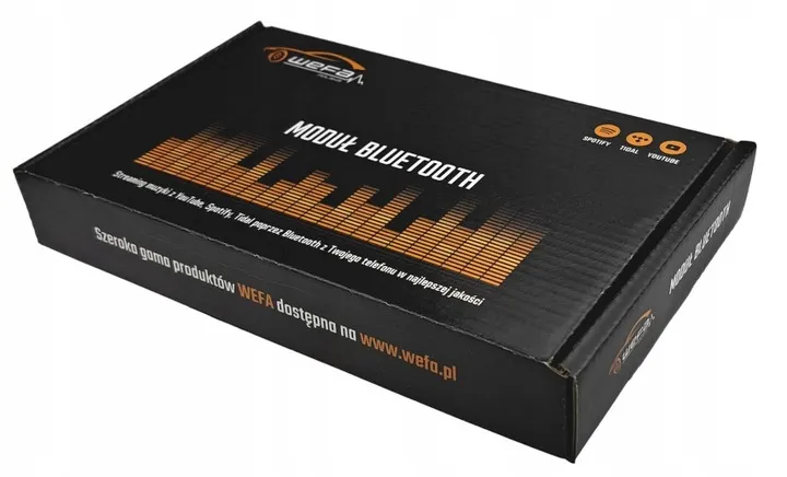 adapter-bluetooth-in-audi-a3-a4-a6-a8-tt-interfejs