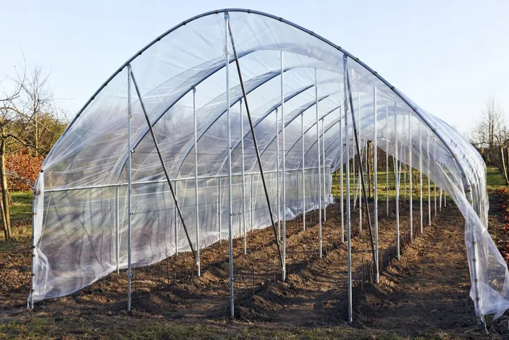 folia-tunelowa-premium-uv10-8x4m-oslona-na-tunel-szklarnie-ogrodowa-polska-dlugosc-800-cm