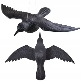 kruk-latajacy-odstraszacz-w-locie-na-balkon-taras-golebi-ptakow