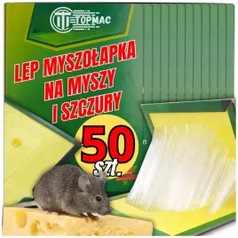 50x-lep-na-myszy-i-szczury-pulapka-myszolapka-silny-klej-aromat-mocna