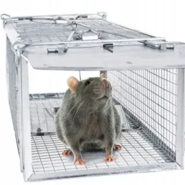 pulapka-zywolapka-na-szczury-myszy-gryzonie-kuny-lapka-do-lapania