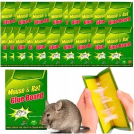 50x-silny-lep-na-myszy-pulapka-z-klejem-lapka-szczury-myszolapka