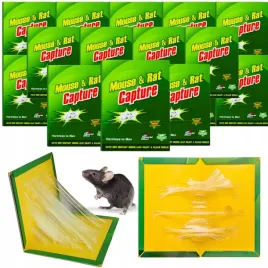 50x-pulapka-na-myszy-szczury-myszolapka-silny-klej-lep-aromat-mocna