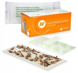 10x-silny-wabiacy-lep-na-mole-spozywcze-mkliki-maczne-feromonowa