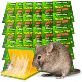 50x-lep-na-myszy-szczury-silna-pulapka-mocny-klej-aromat-myszolapka