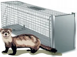 zywolapka-pulapka-na-kuny-szczury-lasice-norki-tchorze-laski-lapka