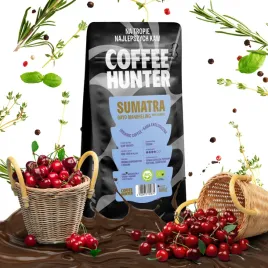 kawa-organiczna-sumatra-gayo-mandheling-1000g