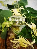 britney-spears-believe-edp-100ml-oryginal-stan-nowy