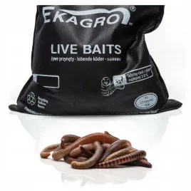 1000-szt-kompostowe-dzdzownice-kalifornijskie-mix