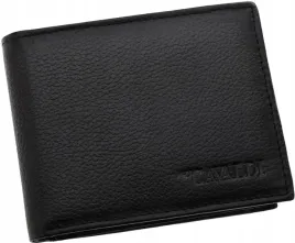 maly-skorzany-portfel-meski-rozkladany-poziomy-miekka-skora-rfid